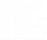 Logo NG branca